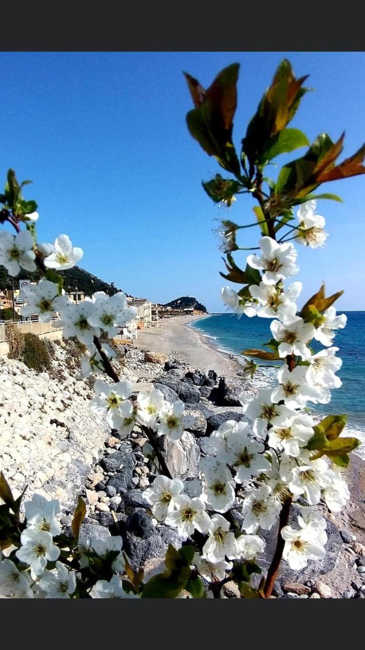 فينالي ليغوري B&B Piccolo Paradiso المظهر الخارجي الصورة